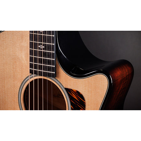 Builder's Edition 514ce Natural Next Generation + Etui Taylor