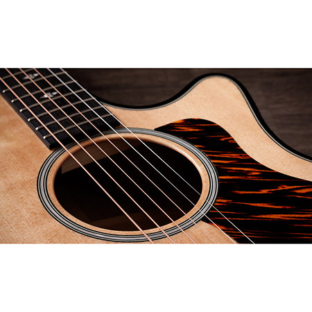 Builder's Edition 514ce Natural Next Generation + Etui Taylor