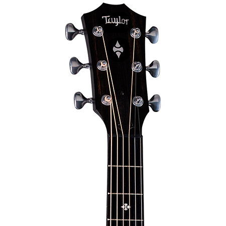 Builder's Edition 514ce Natural Next Generation + Etui Taylor