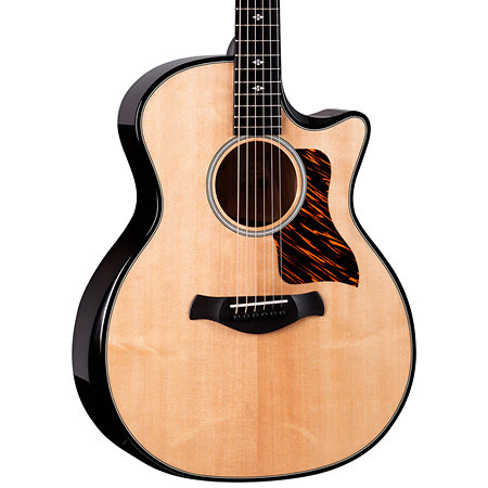 Builder's Edition 514ce Natural Next Generation + Etui Taylor