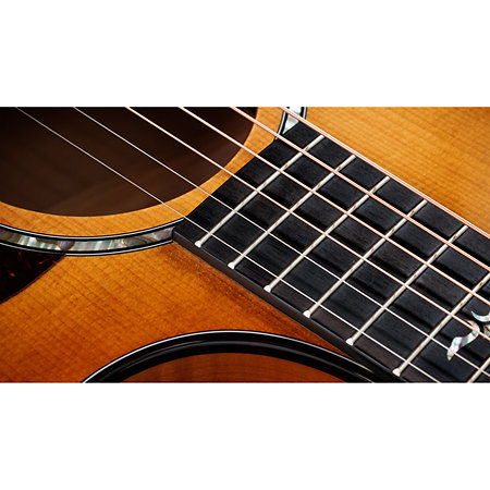 Taylor 614ce Next Generation + Etui