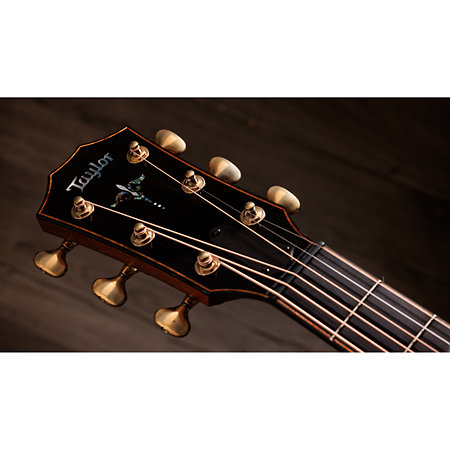 Builder's Edition 914ce Next Generation + Etui Taylor