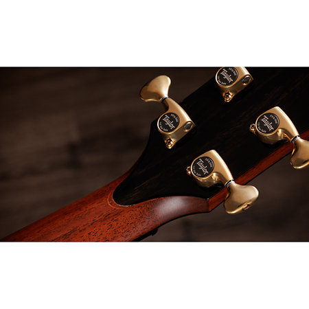 Builder's Edition 914ce Next Generation + Etui Taylor