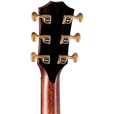 Taylor Builder's Edition 914ce Hoduran Rosewood/Sinker Redwood Next Generation + Etui