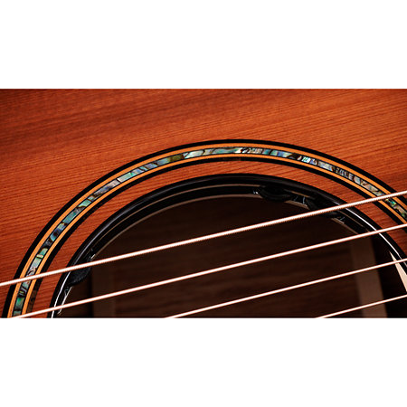 Builder's Edition 914ce Hoduran Rosewood/Sinker Redwood Next Generation + Etui Taylor