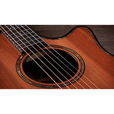 Builder's Edition 914ce Hoduran Rosewood/Sinker Redwood Next Generation + Etui Taylor