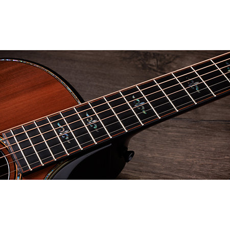 Builder's Edition 914ce Hoduran Rosewood/Sinker Redwood Next Generation + Etui Taylor