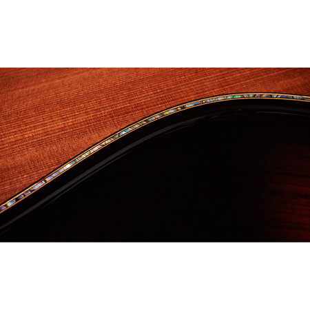 Builder's Edition 914ce Hoduran Rosewood/Sinker Redwood Next Generation + Etui Taylor