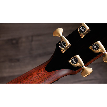Builder's Edition 914ce Hoduran Rosewood/Sinker Redwood Next Generation + Etui Taylor