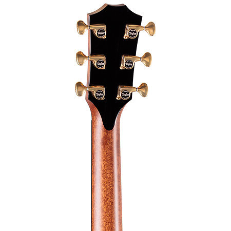 Taylor PS14ce Honduran Rosewood/Sinker Redwood Next Generation + Etui