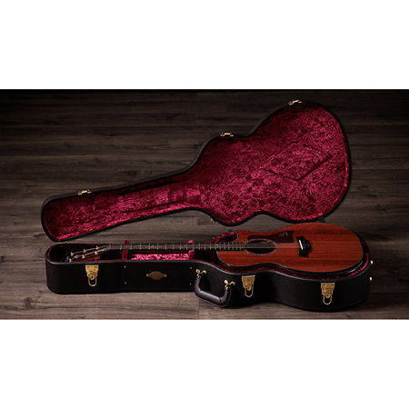 PS14ce Honduran Rosewood/Sinker Redwood Next Generation + Etui Taylor