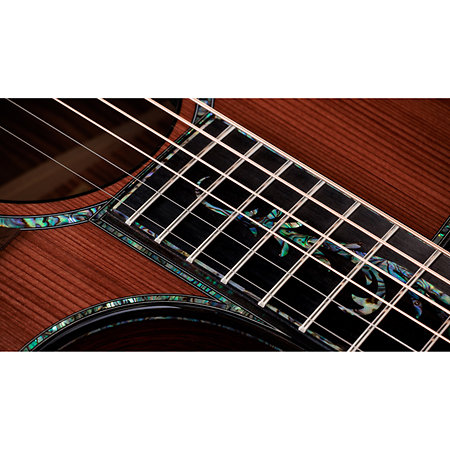 PS14ce Honduran Rosewood/Sinker Redwood Next Generation + Etui Taylor