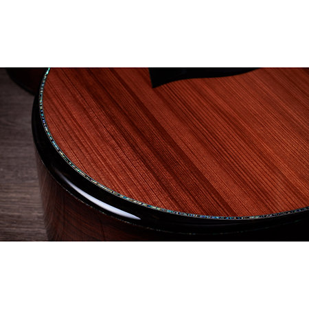 PS14ce Honduran Rosewood/Sinker Redwood Next Generation + Etui Taylor