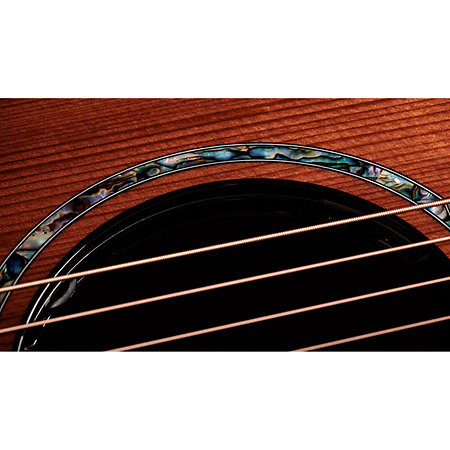 PS14ce Honduran Rosewood/Sinker Redwood Next Generation + Etui Taylor