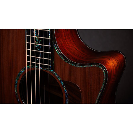 PS14ce Honduran Rosewood/Sinker Redwood Next Generation + Etui Taylor