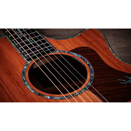 PS14ce Honduran Rosewood/Sinker Redwood Next Generation + Etui Taylor