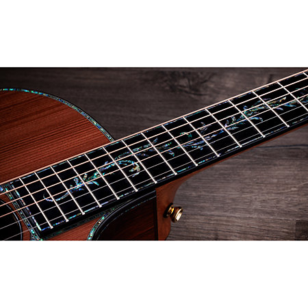 PS14ce Honduran Rosewood/Sinker Redwood Next Generation + Etui Taylor