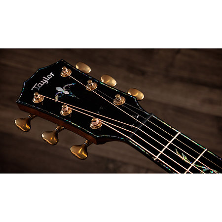 PS14ce Honduran Rosewood/Sinker Redwood Next Generation + Etui Taylor