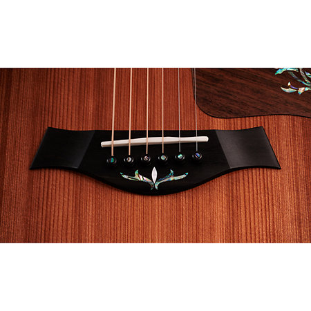 PS14ce Honduran Rosewood/Sinker Redwood Next Generation + Etui Taylor