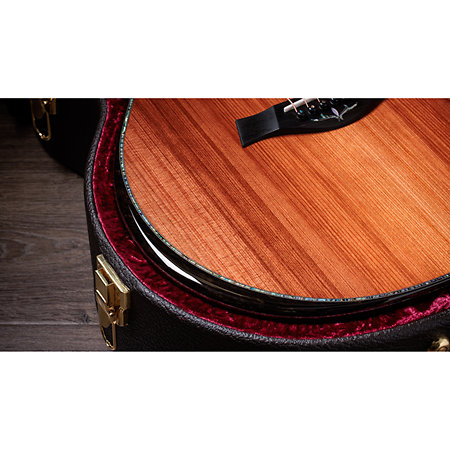 PS14ce Honduran Rosewood/Sinker Redwood Next Generation + Etui Taylor