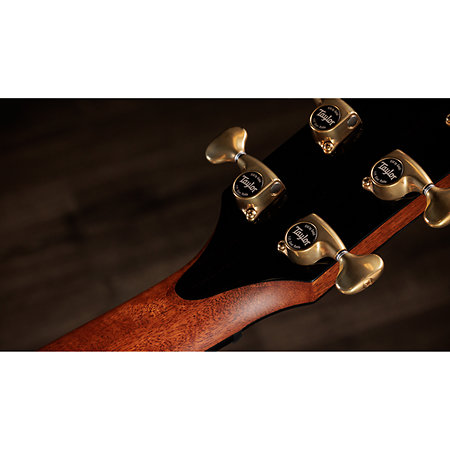 PS14ce Honduran Rosewood/Sinker Redwood Next Generation + Etui Taylor