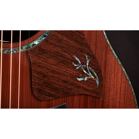 PS14ce Honduran Rosewood/Sinker Redwood Next Generation + Etui Taylor