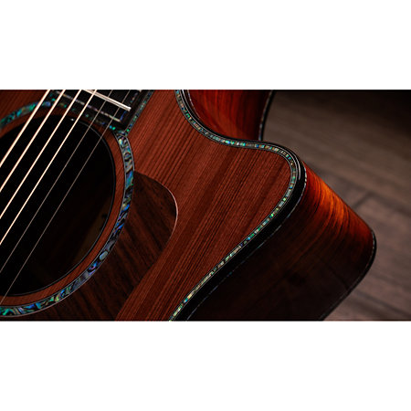 PS14ce Honduran Rosewood/Sinker Redwood Next Generation + Etui Taylor