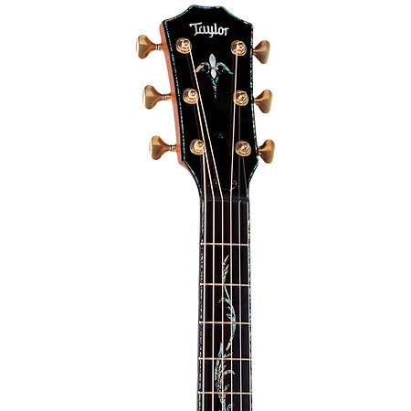 PS14ce Honduran Rosewood/Sinker Redwood Next Generation + Etui Taylor