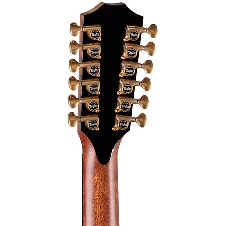 Taylor PS54ce Honduran Rosewood/Adirondack SpruceSpruce Next Generation + Etui