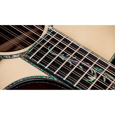 PS54ce Honduran Rosewood/Adirondack SpruceSpruce Next Generation + Etui Taylor