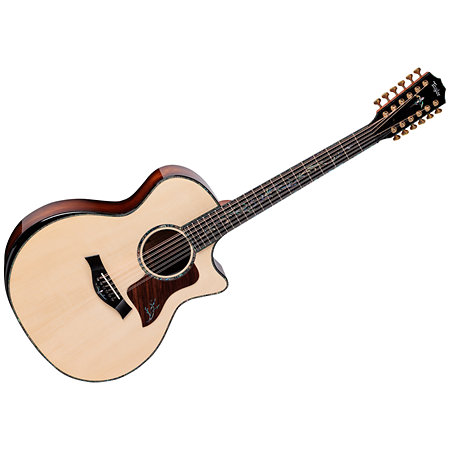 PS54ce Honduran Rosewood/Adirondack SpruceSpruce Next Generation + Etui Taylor