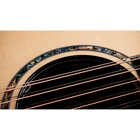 PS54ce Honduran Rosewood/Adirondack SpruceSpruce Next Generation + Etui Taylor