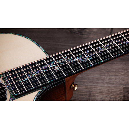 PS54ce Honduran Rosewood/Adirondack SpruceSpruce Next Generation + Etui Taylor