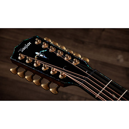 PS54ce Honduran Rosewood/Adirondack SpruceSpruce Next Generation + Etui Taylor