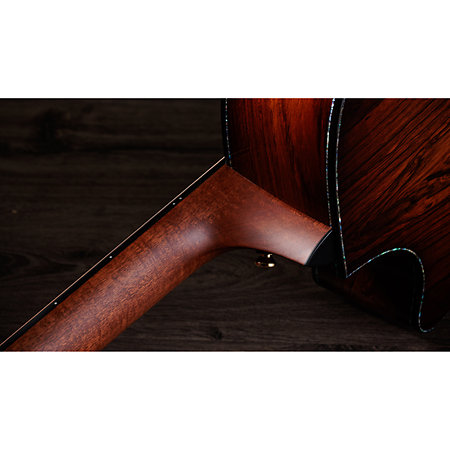 PS54ce Honduran Rosewood/Adirondack SpruceSpruce Next Generation + Etui Taylor