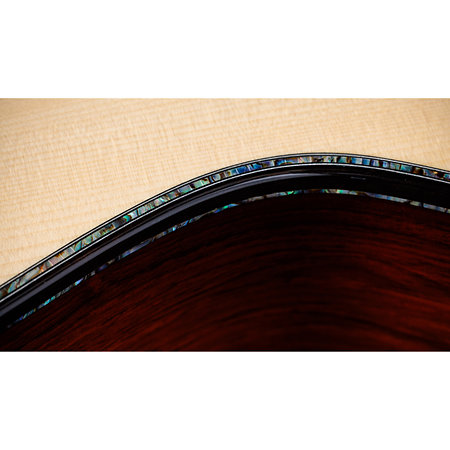 PS54ce Honduran Rosewood/Adirondack SpruceSpruce Next Generation + Etui Taylor