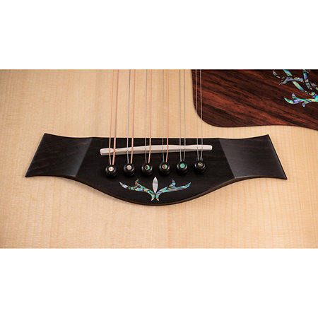 PS54ce Honduran Rosewood/Adirondack SpruceSpruce Next Generation + Etui Taylor