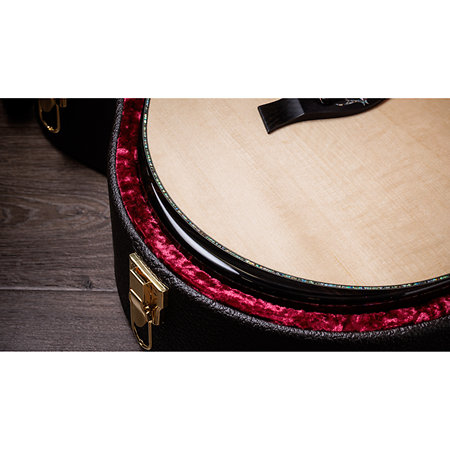 PS54ce Honduran Rosewood/Adirondack SpruceSpruce Next Generation + Etui Taylor