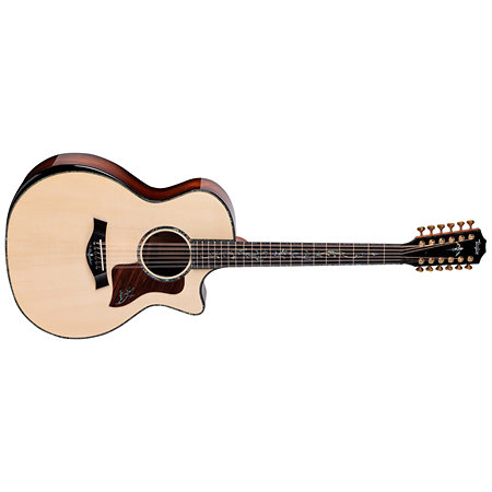 PS54ce Honduran Rosewood/Adirondack SpruceSpruce Next Generation + Etui Taylor