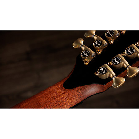 PS54ce Honduran Rosewood/Adirondack SpruceSpruce Next Generation + Etui Taylor