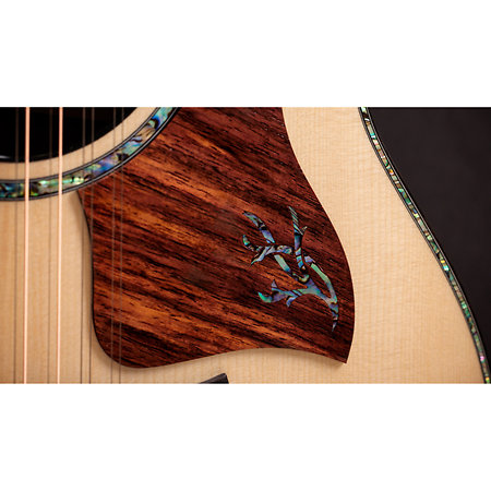 PS54ce Honduran Rosewood/Adirondack SpruceSpruce Next Generation + Etui Taylor