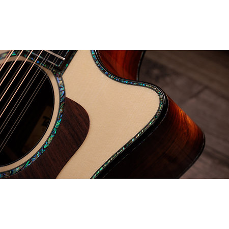PS54ce Honduran Rosewood/Adirondack SpruceSpruce Next Generation + Etui Taylor