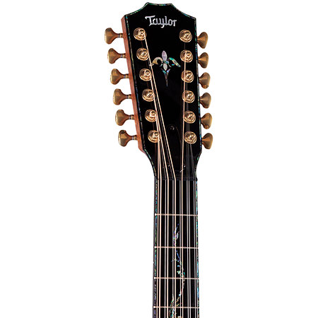 PS54ce Honduran Rosewood/Adirondack SpruceSpruce Next Generation + Etui Taylor