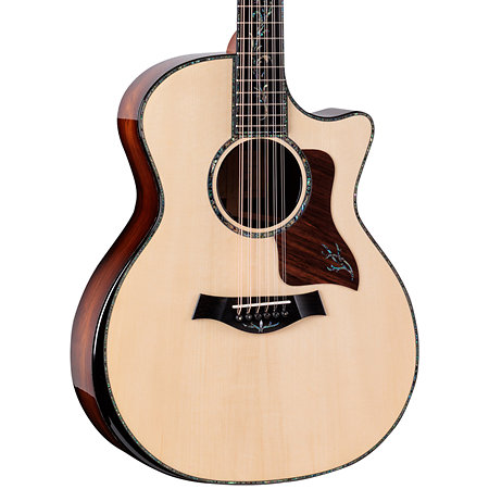 PS54ce Honduran Rosewood/Adirondack SpruceSpruce Next Generation + Etui Taylor