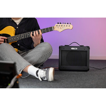 G-BS15 HP 8" 15 W 2 canaux EKO
