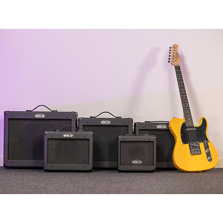 G-BS25 HP 10" 25 W 2 canaux + reverb EKO
