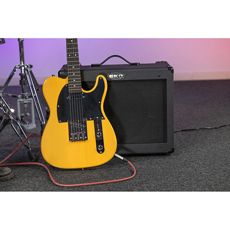 G-BS35 HP 12" 35 W 2 canaux + reverb + FX loop EKO