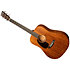 D-17-GE LH Standard Series 2025 + étui Martin Guitars