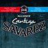 510ARJP Alliance Cantiga Tension Mixte Savarez