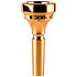 4880-5BL Classic trombone plaquée or 5BL Denis Wick